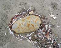 ZEN ROCK-AND-SAND GARDEN I