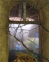 SECRET GARDEN I