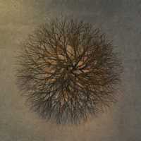 TRIBUTE TO RUTH ASAWA I