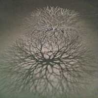 TRIBUTE TO RUTH ASAWA II