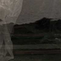 VEILED V