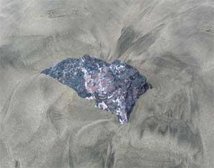 MEDITATION ROCK I