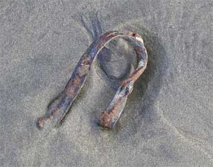 UNIDENTIFIED OBJECT II