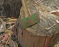 WABI-SABI MOMENT III