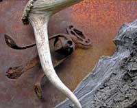 RUSTY THINGS