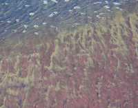 SANDSCAPES IX