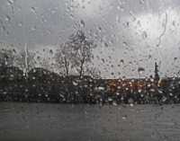 RAINY DAY VIII