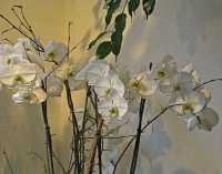BLOOMS IV