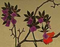 BLOOMS V