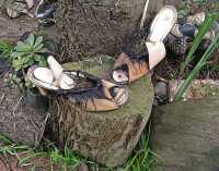 SHOE BLUES III