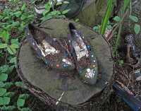 SHOE BLUES SERIES