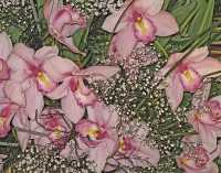 ORCHIDS XV