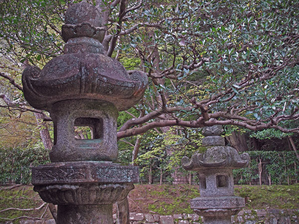 ZEN II