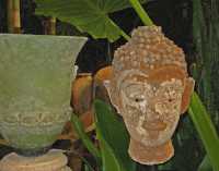 ZEN II