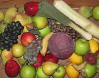 FRUITS & VEGETABLES XVI