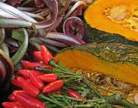 FRUITS & VEGETABLES XIII