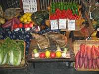 FRUITS & VEGETABLES XI
